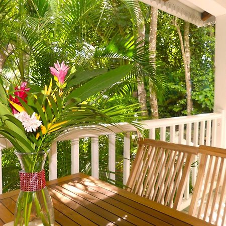 Au Jardin Des Colibris Ecolodge&Spa Deshaies Εξωτερικό φωτογραφία