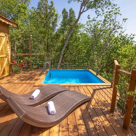 Au Jardin Des Colibris Ecolodge&Spa Deshaies Εξωτερικό φωτογραφία