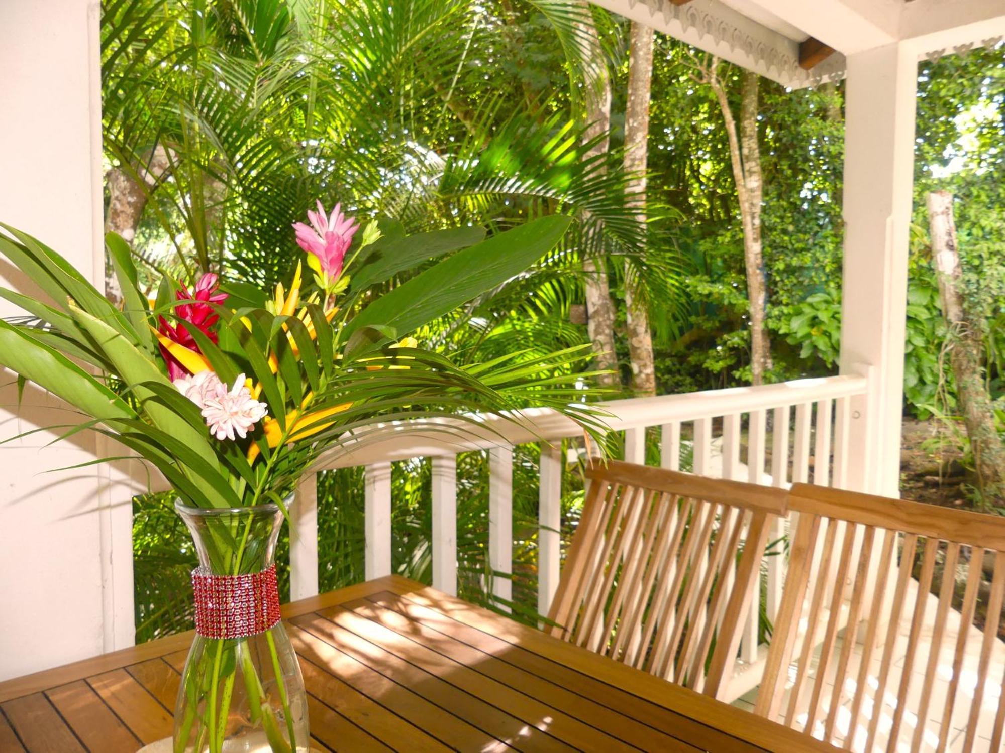 Au Jardin Des Colibris Ecolodge&Spa Deshaies Εξωτερικό φωτογραφία