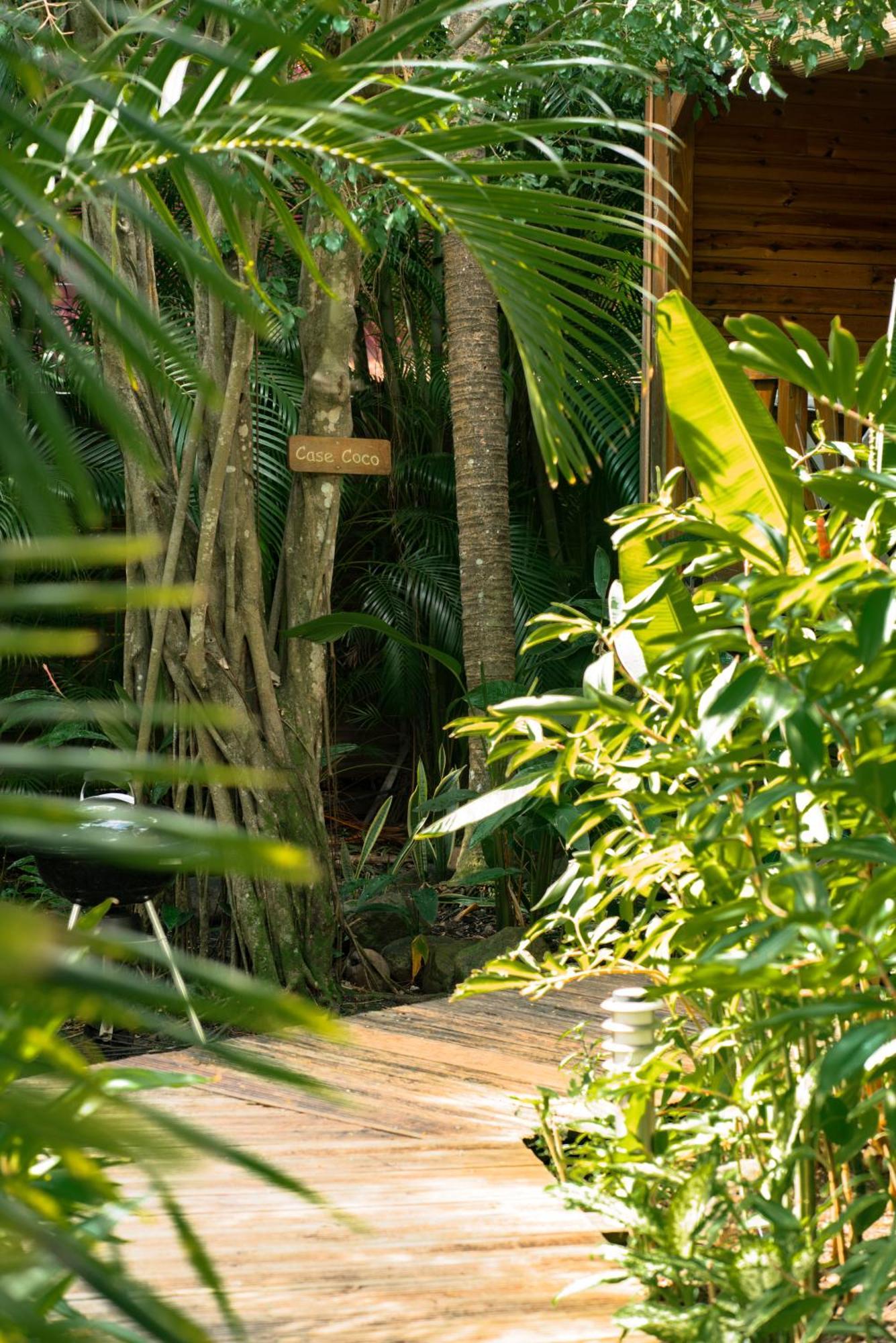 Au Jardin Des Colibris Ecolodge&Spa Deshaies Εξωτερικό φωτογραφία
