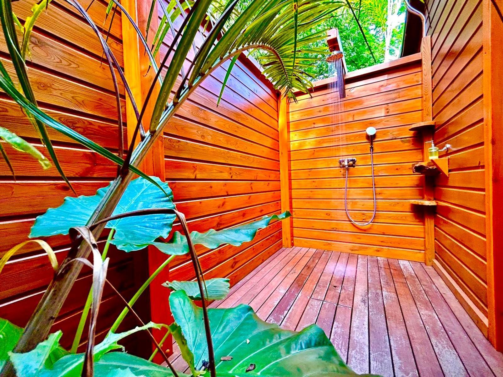 Au Jardin Des Colibris Ecolodge&Spa Deshaies Εξωτερικό φωτογραφία