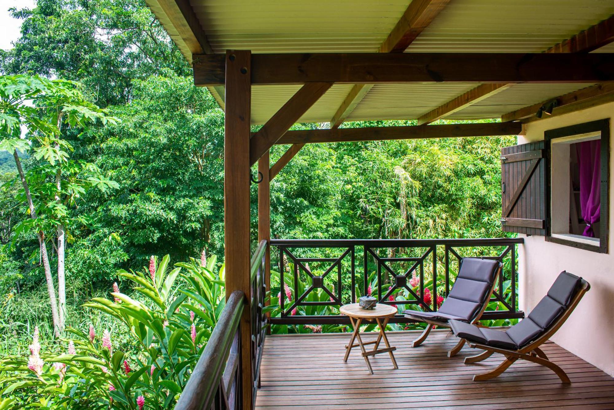 Au Jardin Des Colibris Ecolodge&Spa Deshaies Εξωτερικό φωτογραφία