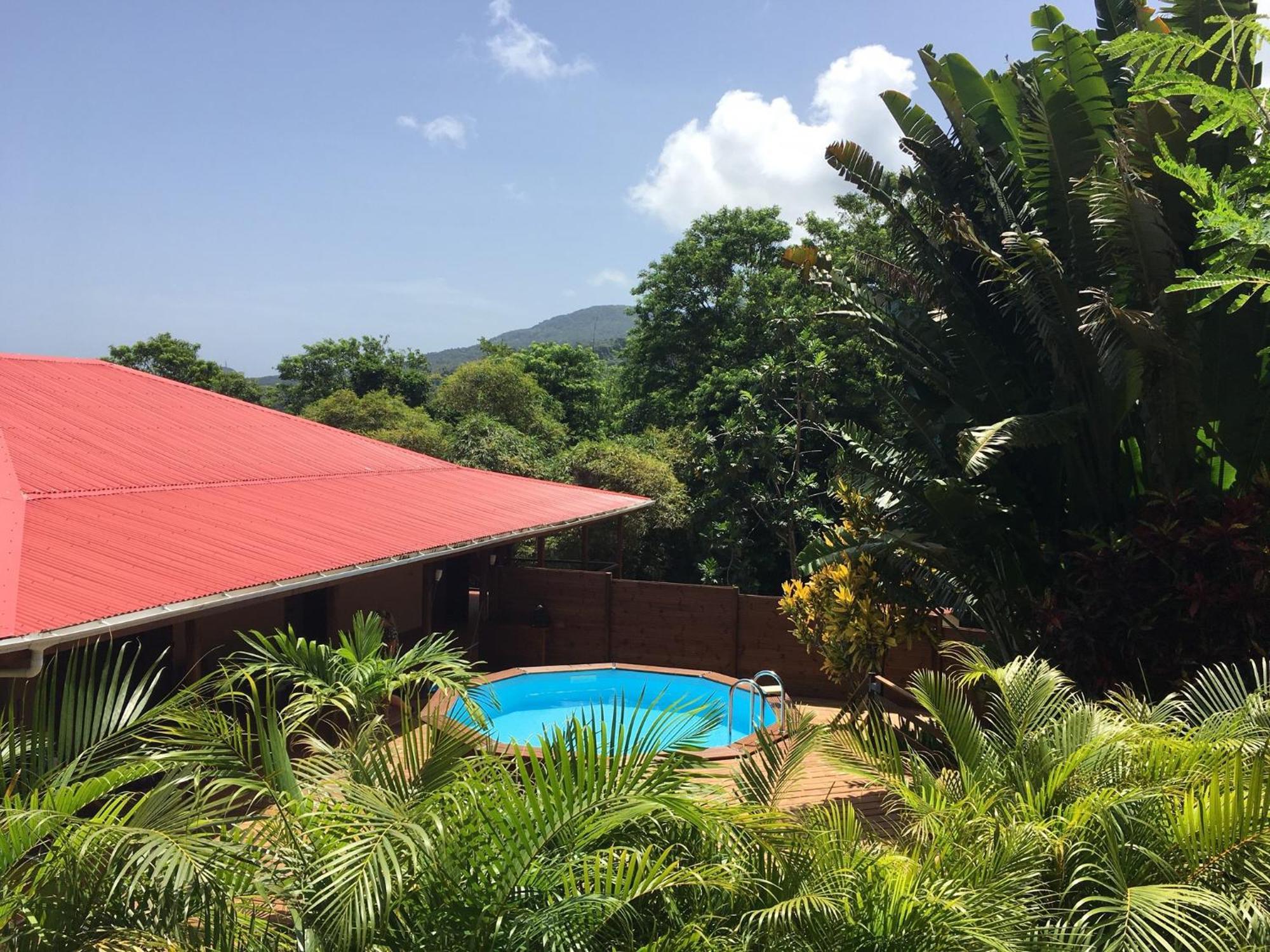 Au Jardin Des Colibris Ecolodge&Spa Deshaies Εξωτερικό φωτογραφία