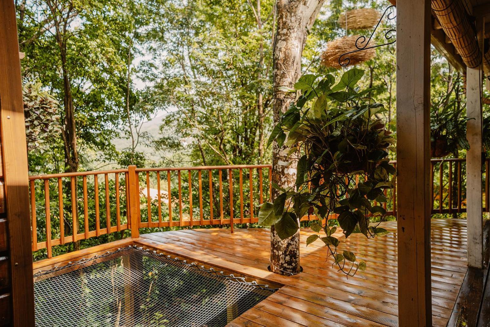 Au Jardin Des Colibris Ecolodge&Spa Deshaies Εξωτερικό φωτογραφία