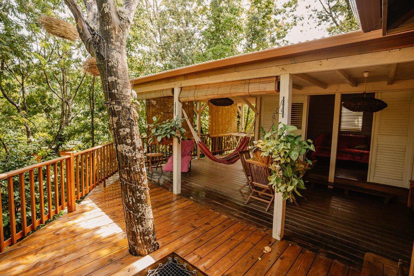 Au Jardin Des Colibris Ecolodge&Spa Deshaies Εξωτερικό φωτογραφία