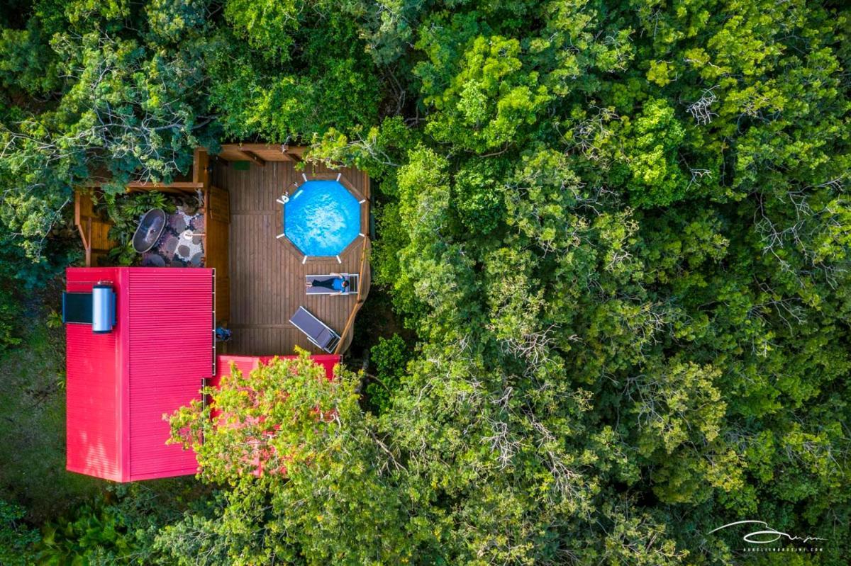 Au Jardin Des Colibris Ecolodge&Spa Deshaies Εξωτερικό φωτογραφία