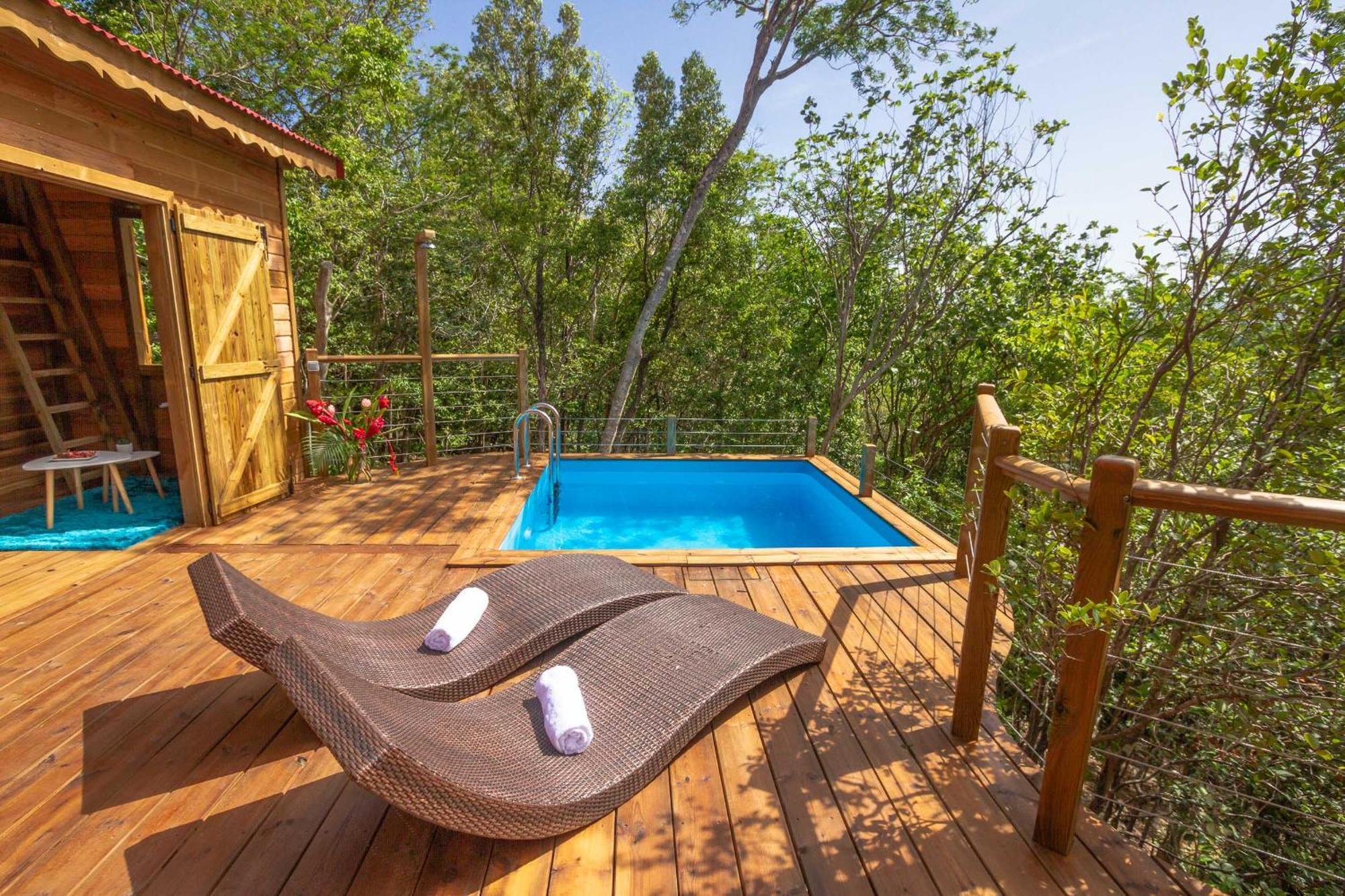Au Jardin Des Colibris Ecolodge&Spa Deshaies Εξωτερικό φωτογραφία