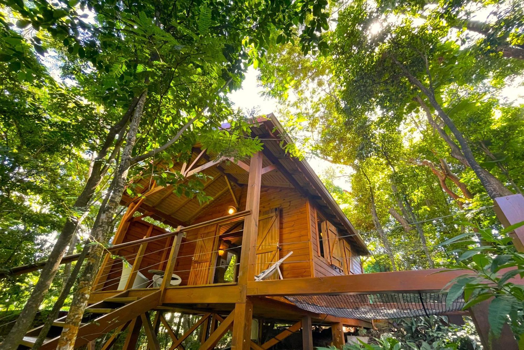Au Jardin Des Colibris Ecolodge&Spa Deshaies Εξωτερικό φωτογραφία