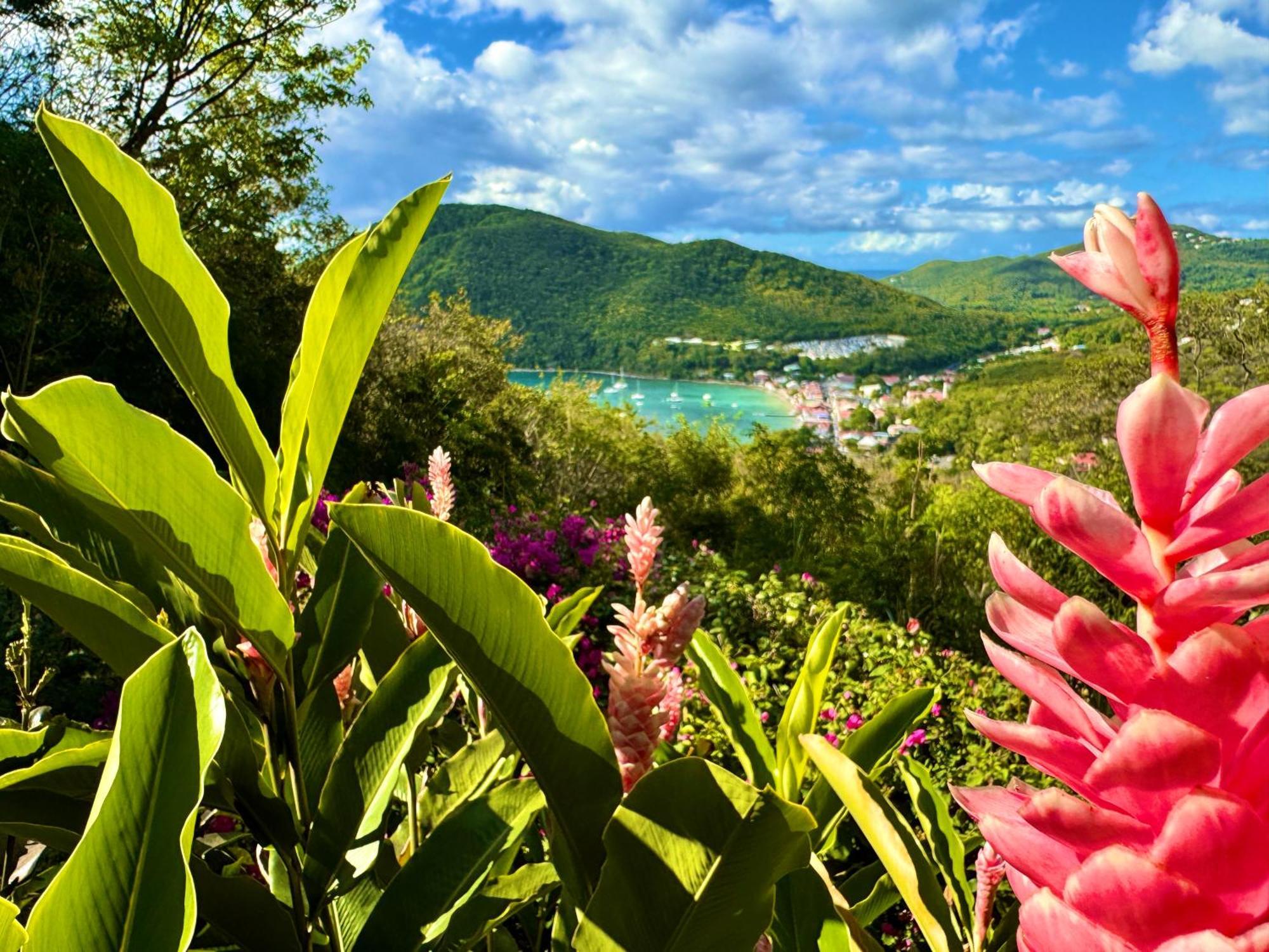 Au Jardin Des Colibris Ecolodge&Spa Deshaies Εξωτερικό φωτογραφία